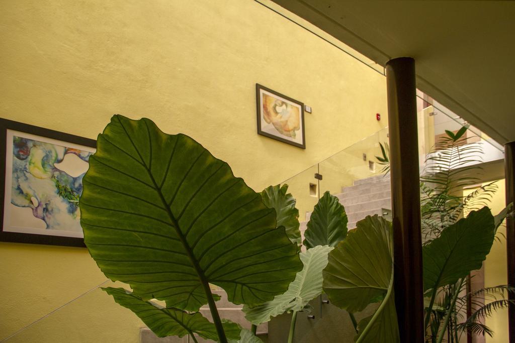 Monte Leon Hotel Boutique & Galeria Exterior photo